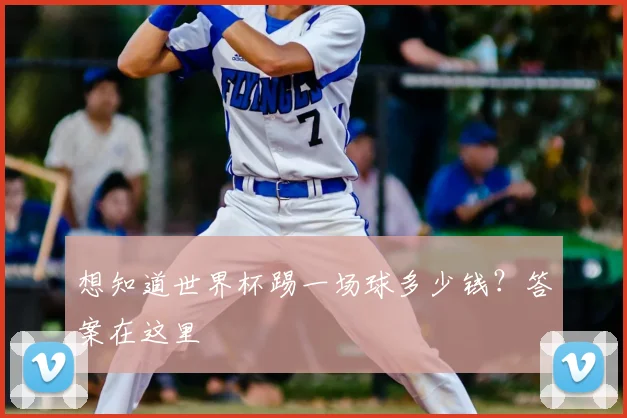 想知道世界杯踢一场球多少钱？答案在这里