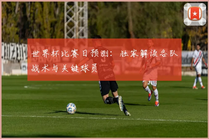 世界杯比赛日预测：独家解读各队战术与关键球员