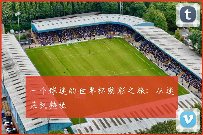一个球迷的世界杯购彩之旅:从迷茫到熟练