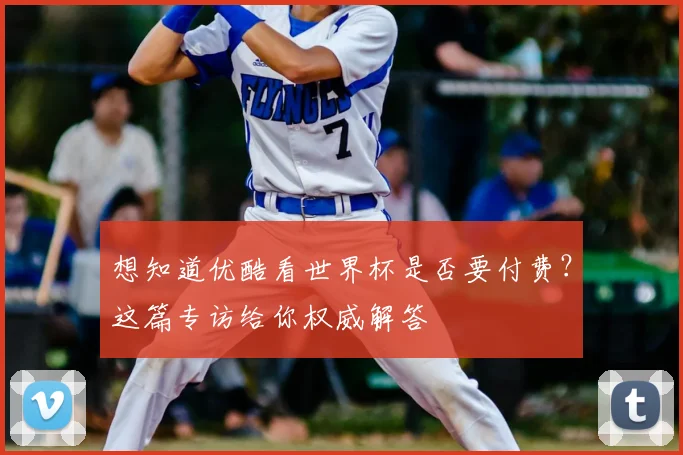 想知道优酷看世界杯是否要付费？这篇专访给你权威解答