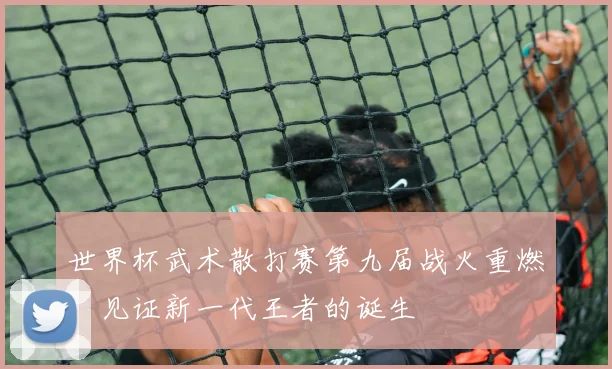 世界杯武术散打赛第九届战火重燃，见证新一代王者的诞生