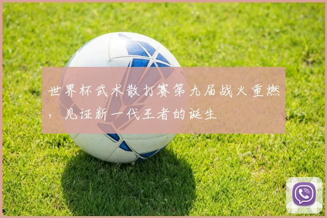 世界杯武术散打赛第九届战火重燃，见证新一代王者的诞生