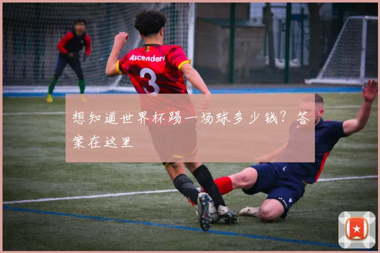 想知道世界杯踢一场球多少钱？答案在这里