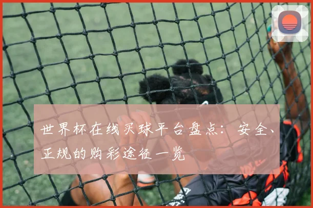 世界杯在线买球平台盘点：安全、正规的购彩途径一览