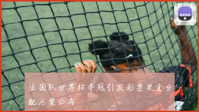 法国队世界杯夺冠引发彩票奖金分配方案公布