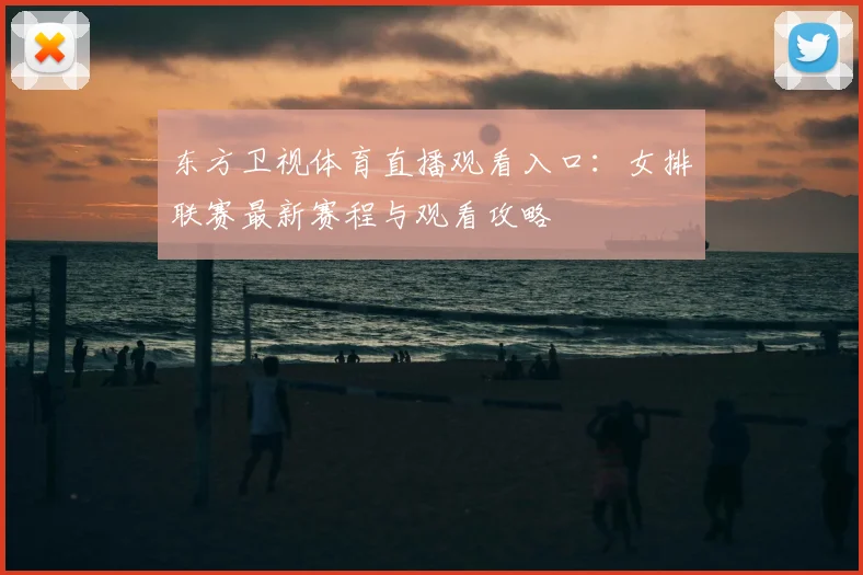东方卫视体育直播观看入口：女排联赛最新赛程与观看攻略