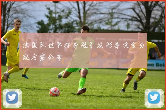 法国队世界杯夺冠引发彩票奖金分配方案公布